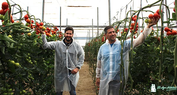 Pepe Jiménez de Rijk Zwaan con el agricultor Enrique Sánchez y el tomate Realsol. / agroautentico.com