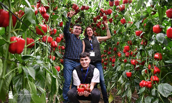 El agricultor Francisco Rodríguez con Noelia Escudero y Gabriel López, ambos del equipo de Argenta. / agroautentico.com