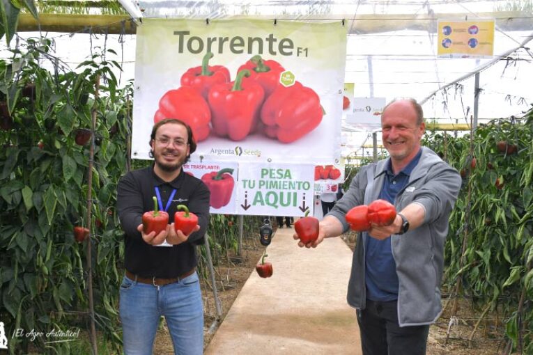Alianza hispano holandesa en Argenta Seeds