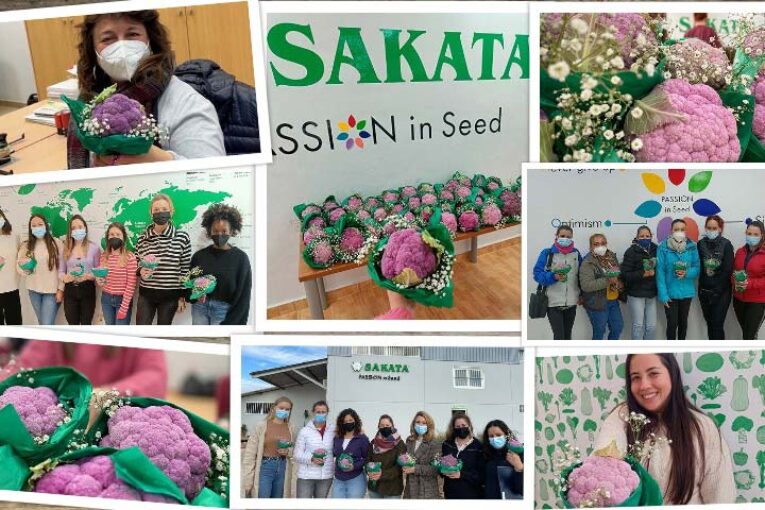 Sakata presenta su I Plan de Igualdad