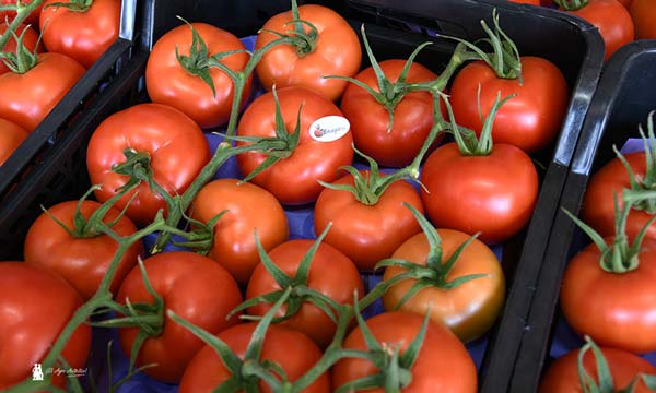 Caja de tomate Wangari. / agroautentico.com