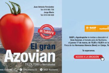 Día 17 de marzo. Jornada de tomate pera Azovian de Nunhems