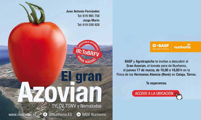 Día 17 de marzo. Jornada de tomate pera Azovian de Nunhems