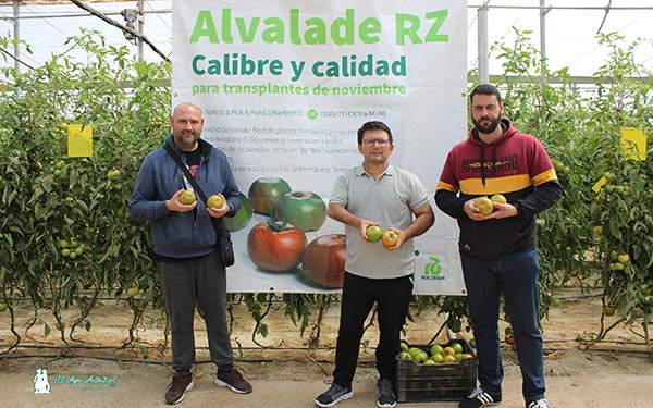 Agricultores en las jornadas de campo de tomate Alvalade RZ. / agroautentico.com