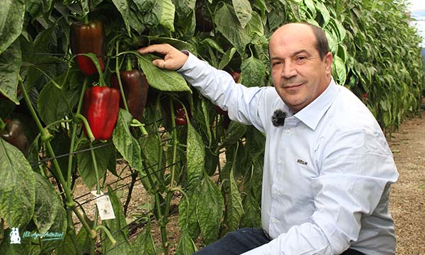 Agustín Tejada, gerente de Biosur. / agroautentico.com