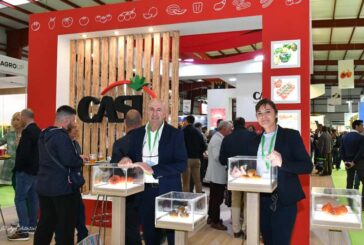 CASI presenta nuevas especialidades de tomate en la expo nijareña