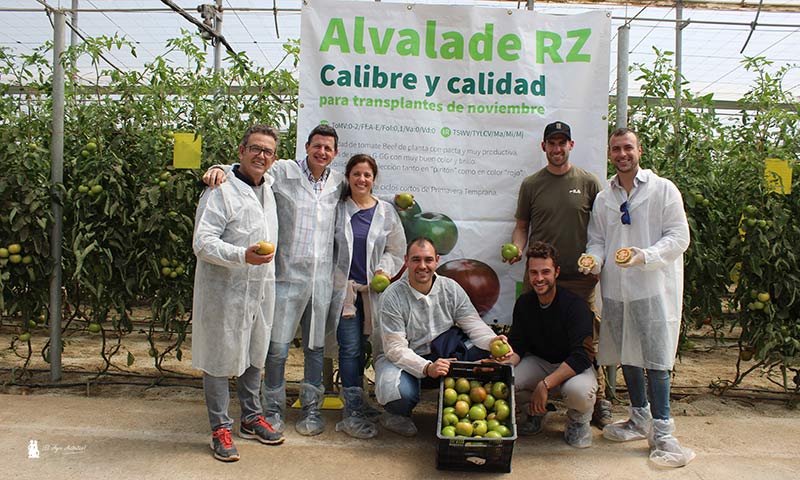 Christine Díez, mejoradora de tomate de Rijk Zwaan y madre de la variedad, con sus compañeros de RZ. / agroautentico.com