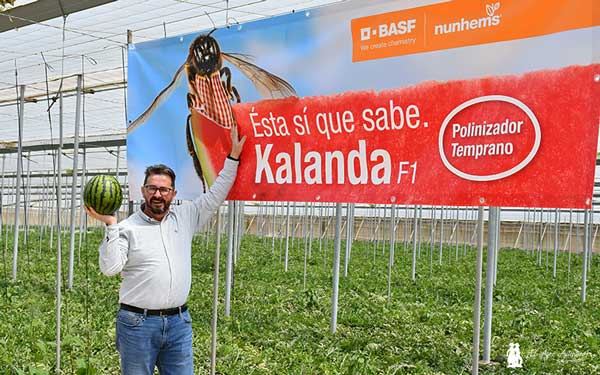 Francisco Solera, BASF, junto a la cartelería del polinizador Kalanda. / agroautentico.com