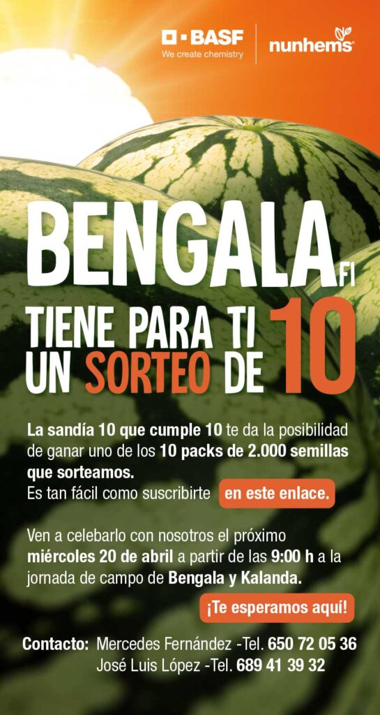 Aniversario Bengala