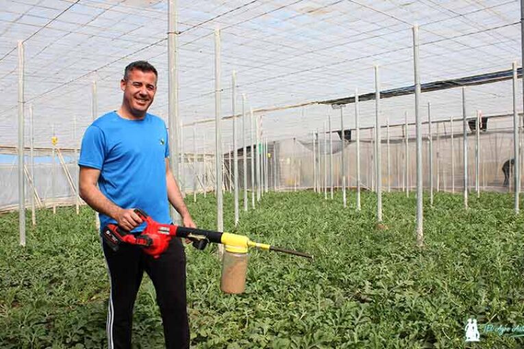 Control biológico y abejorros se abren paso en sandía