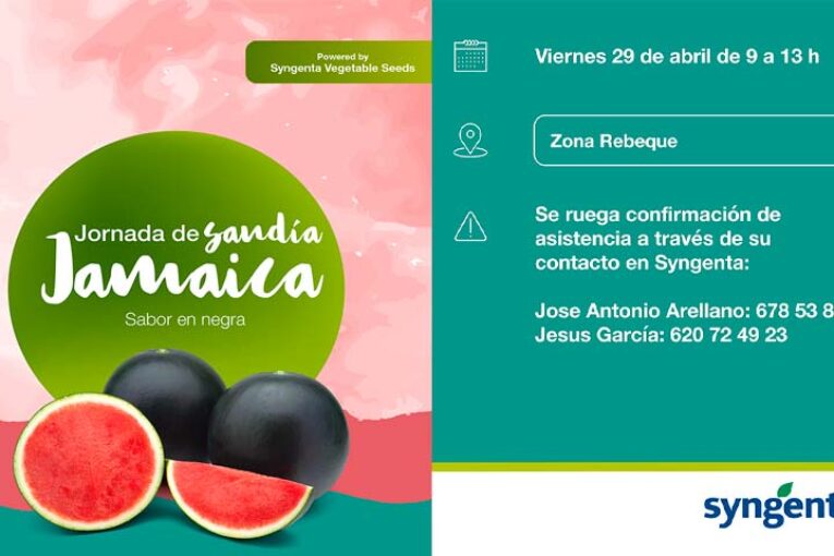 Día 29 de abril. Jornada de sandía Jamaica de Syngenta