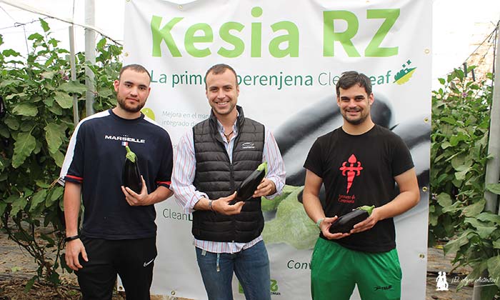 Manuel Pozo Pineda de Rijk Zwaan con los técnicos de Agroiris en la jornada de berenjena Kesia. / agroautentico.com