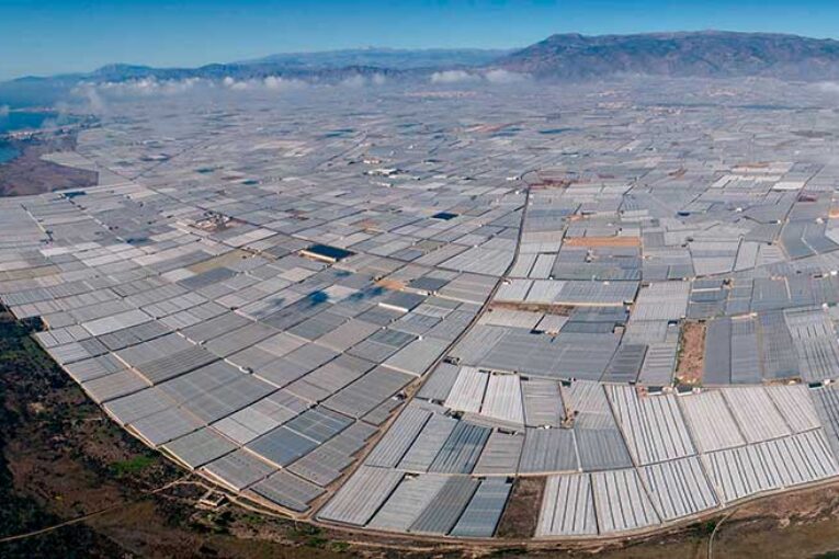 La mitad de los consumidores europeos valora el bajo impacto ambiental del invernadero solar