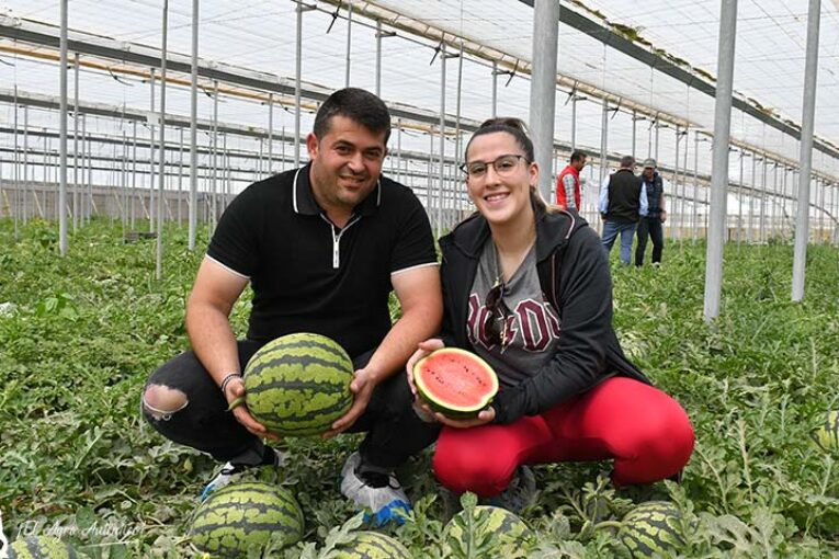 Bengala inaugura la temporada de sandía en Almería