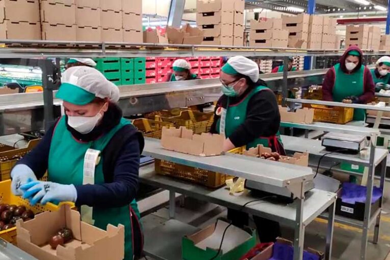 Recomendaciones de Coexphal ante el uso de mascarillas en el manipulado
