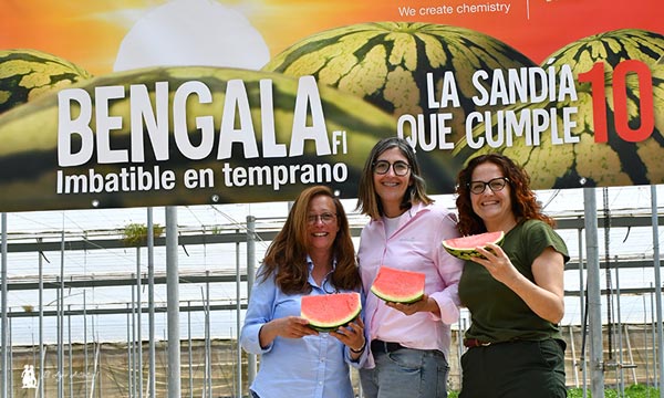 Mercedes Fernández, Elvira Vitores y Ana Rubio con sandía Bengala. / agroautentico.com