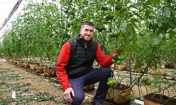 El agricultor Rubén Martínez de Unica con el tomate Adora. / agroautentico.com