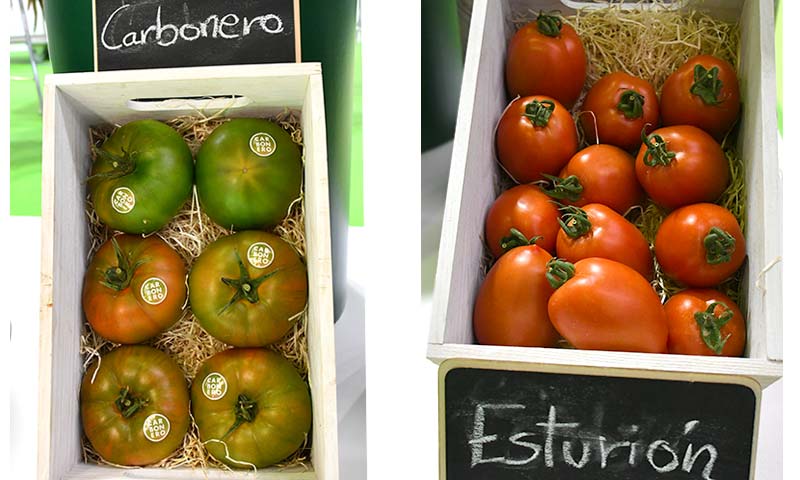 Tomates Albarado y Esturion. / agroautentico.com