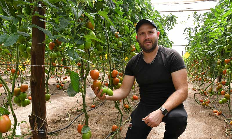 José Antonio Rodríguez, productor de tomate. Agricultor almeriense. / agroautentico.com