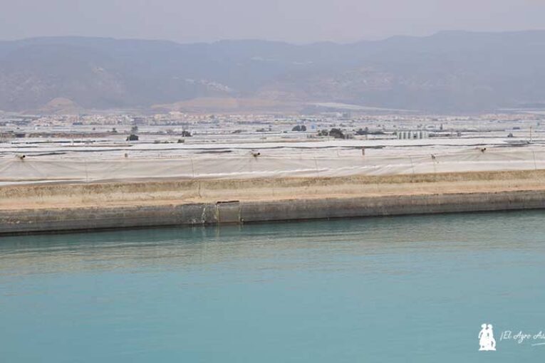 Feral pide que el agua de las últimas lluvias no se pierda al mar