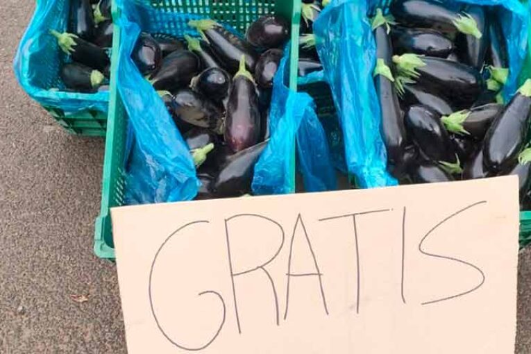 Los productores almerienses de frutas y hortalizas sin rebaja fiscal