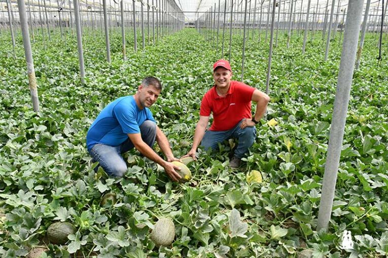 Brandt salva cultivos de primavera castigados por la calima y la lluvia