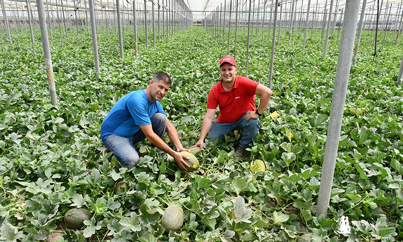 Enrique Sánchez, agricultor, con Juan Jesús Maldonado, técnico de Brandt Europe. / agroautentico.com