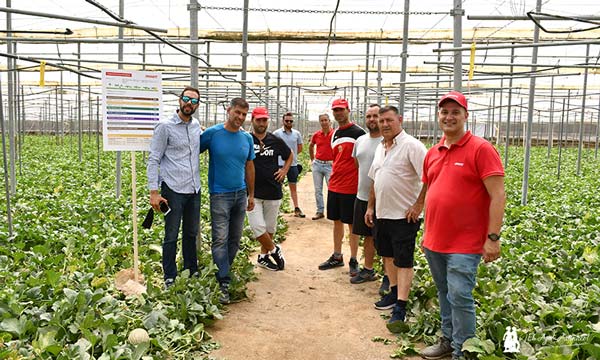 Brandt Europe en invernaderos de melón piel de sapo en Almería. InVigo y Manni-Plex. / agroautentico.com
