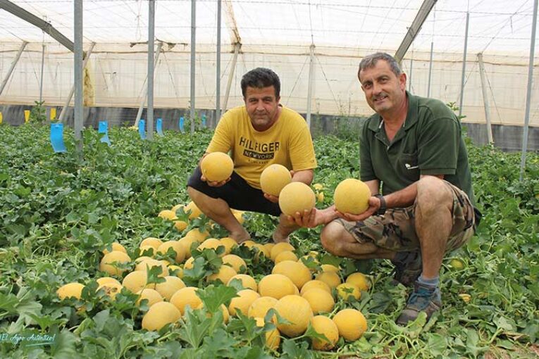 Dos cuñados y un melón, galia Angliru