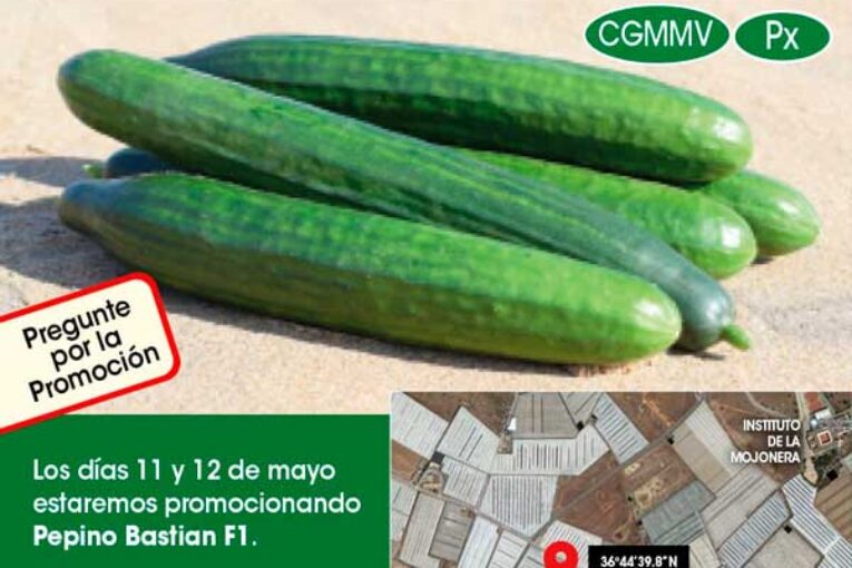 Días 11 y 12 de mayo. Jornada de pepino de Ramiro Arnedo