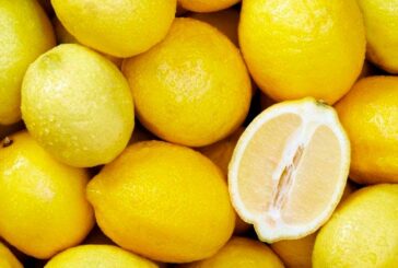 Fuente de vitamina C y otros beneficios del consumo de limón