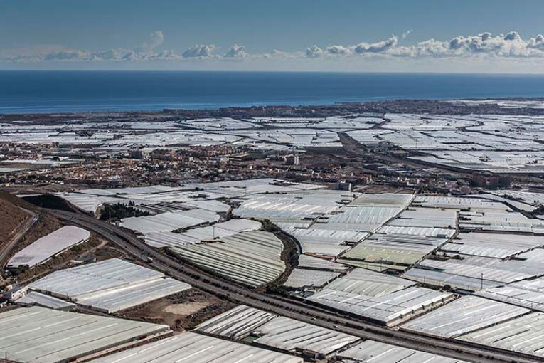 El invernadero del sur de España proporciona a Europa independencia y soberanía alimentaria