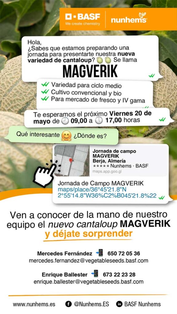 El 20 de mayo Basf organiza una jornada de campo para presentar Magverick, el nuevo cantaloup de Nunhems.