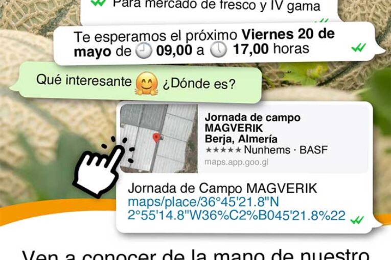 Día 20 de mayo. Jornada de cantaloup de Nunhems