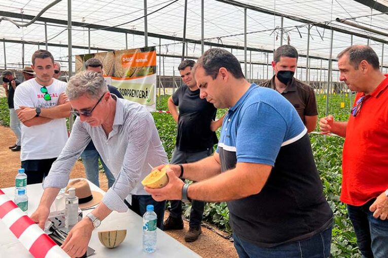 BASF completa su línea Magenta con Magverik y abre la puerta al eco en cantaloup