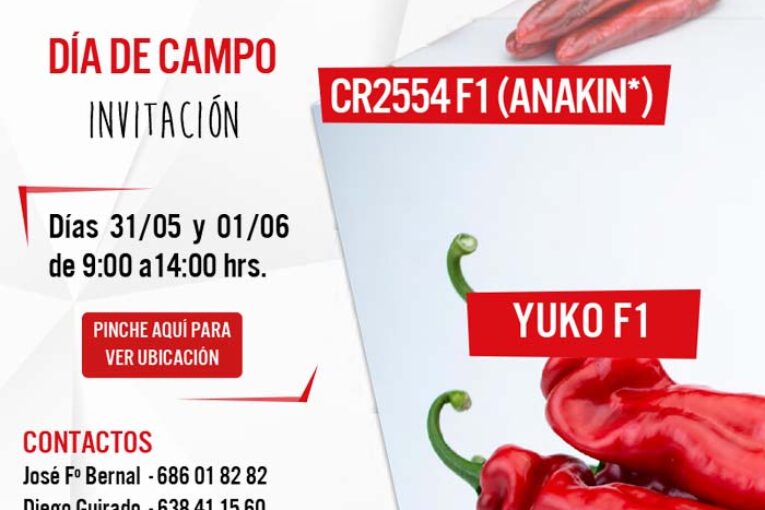 Días 31 de mayo y 1 de junio. Jornadas de pimiento cónico rojo de Vilmorin