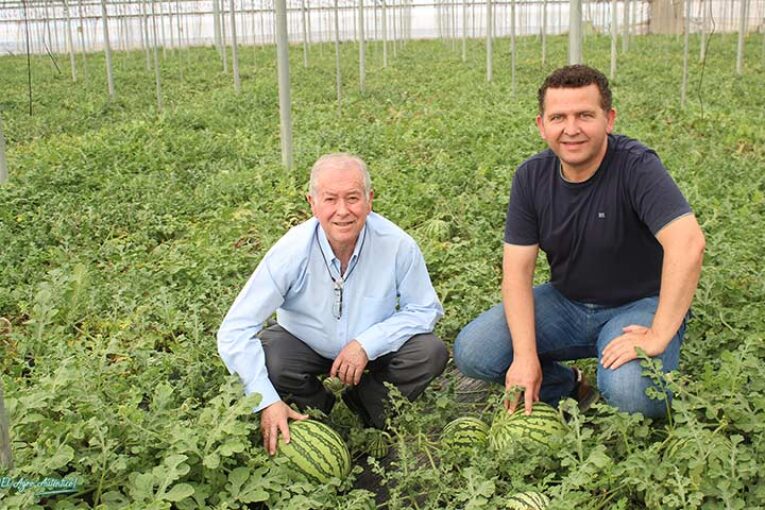 La sandía sin semillas nació hace 30 años en el campo de Níjar