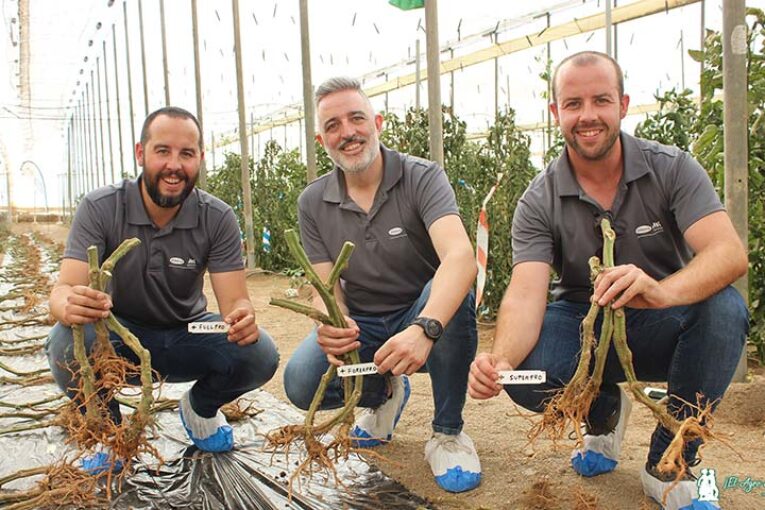 Vilmorin presenta su portainjertos con más vigor y completa catálogo en tomate