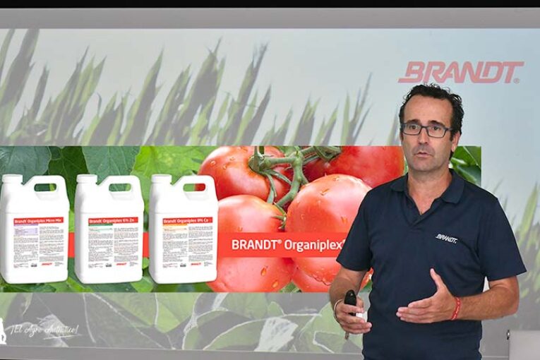 Brandt presenta una nueva gama ecológica para producir más con menos