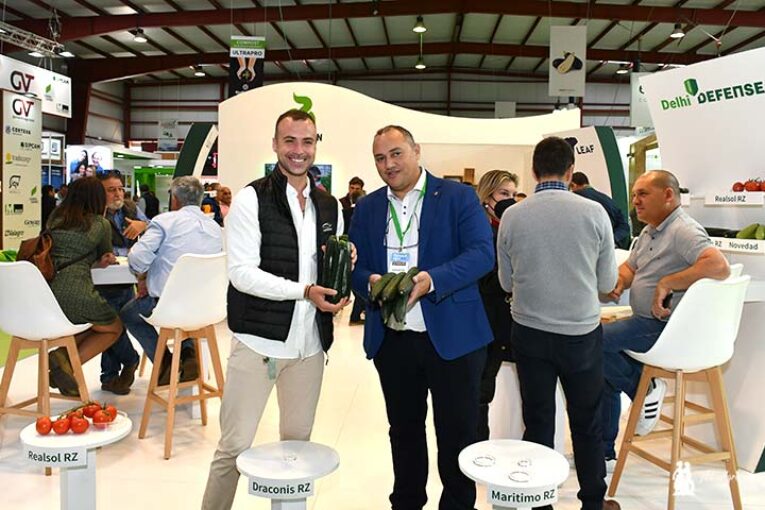 RZ presenta resistencias a Nueva Delhi en calabacín y a CGMMV en pepino