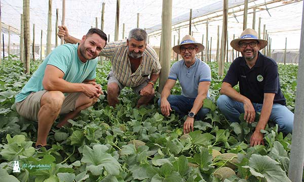 Agricultores y técnicos de Syngenta con el melón Graciano / agroautentico.com