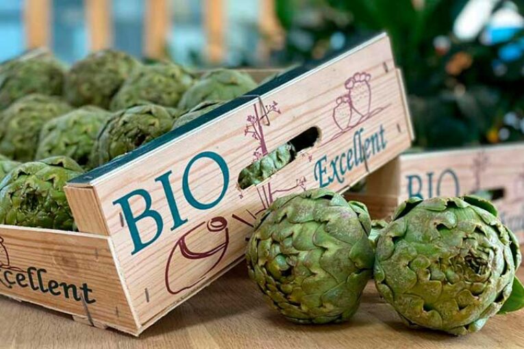 Campojoyma innova y suma la alcachofa a su catálogo de hortalizas bio
