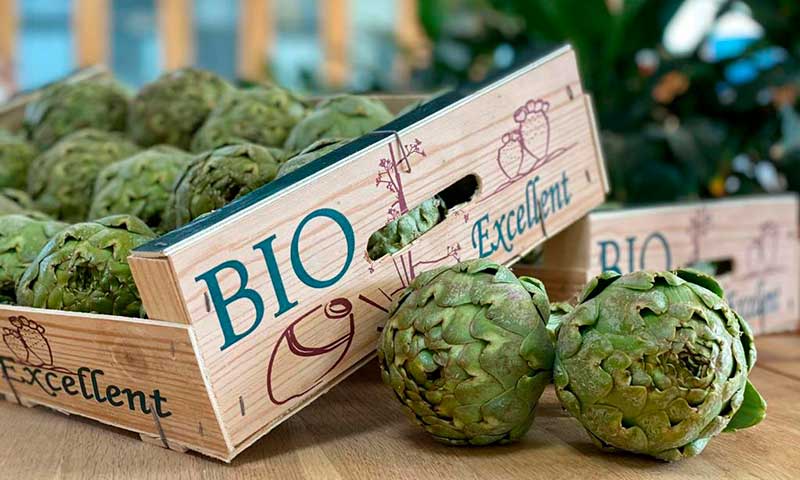 Campojoyma innova y suma la alcachofa a su catálogo de hortalizas bio