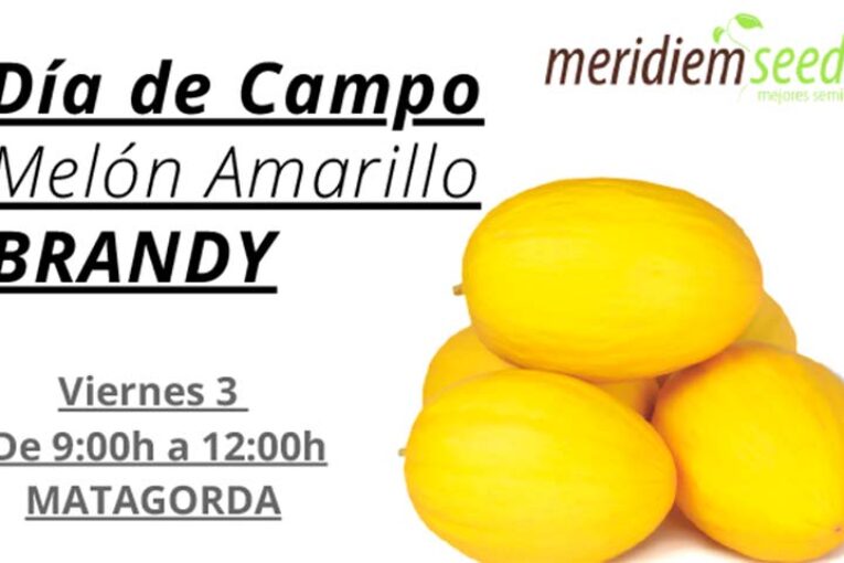Día 3 de junio. Jornada de melón amarillo de Meridiem Seeds