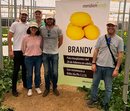 Jornada en Almería de melón amarillo Brandy. / agroautentico.com