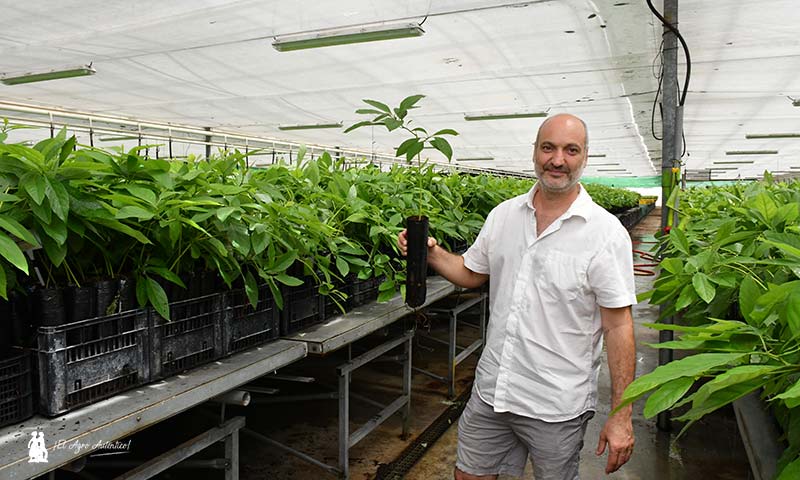 Juan José Ferrer, gerente de Viveros Brokaw. / agroautentico.com