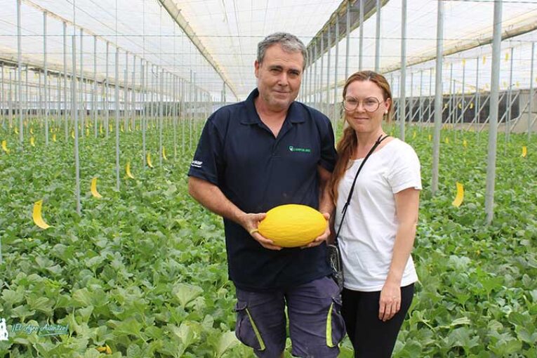 Los hermanos Pérez y el Brandy amarillo de Meridiem