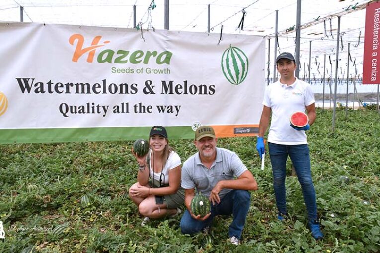 Hazera presenta dos sandías minis sin semillas en su finca vitrina de Almería