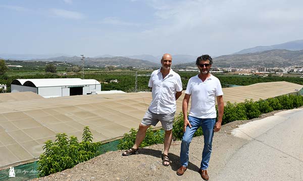 Juan José Ferrer y Adolfo Agustín Lecumberri, al fondo se observa Vélez-Málaga. / agroautentico.com