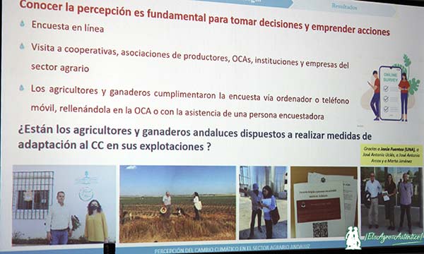 proyecto europeo CLIMA-AGRI impulsado por la Universidad de Córdoba / agroautentico.com